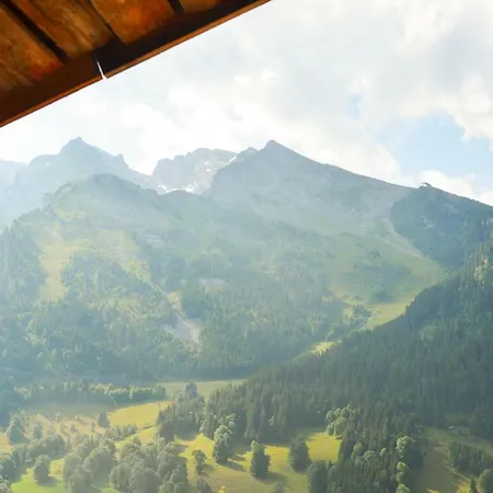 Chalet La Douceur 아파트호텔 *